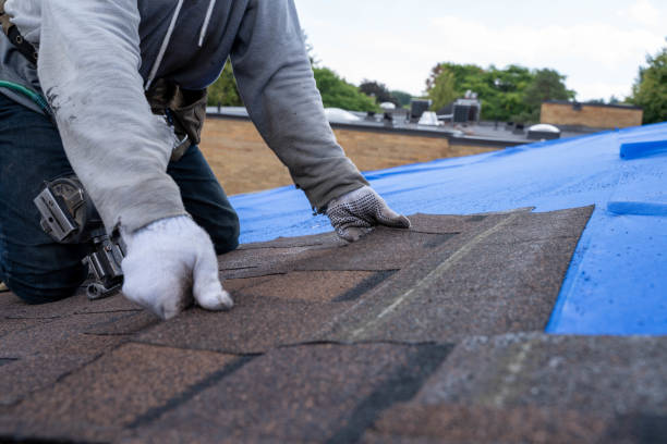 Roof Maintenance